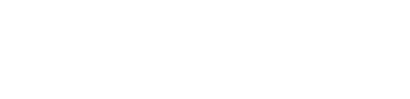 Logo-Marvelsa