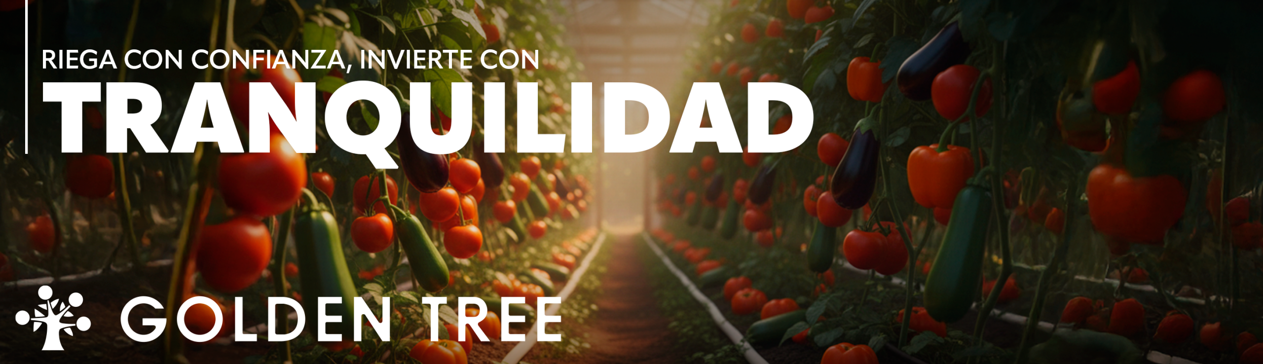 gt_2025_landing_banner_2912x840px